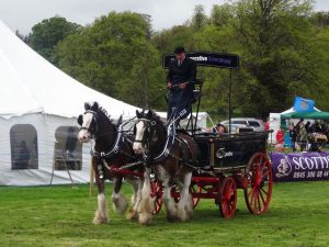 Wooler-horse-and-funeral-carriage
